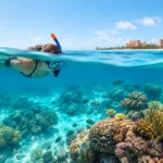 Coral Reef Snorkeling Near Nassau: What to Expect