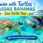 swim with turtles nassau bahamas
